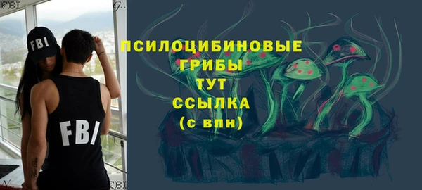 ГАЛЛЮЦИНОГЕННЫЕ ГРИБЫ Абинск