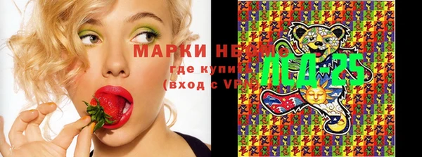 ГАЛЛЮЦИНОГЕННЫЕ ГРИБЫ Абинск